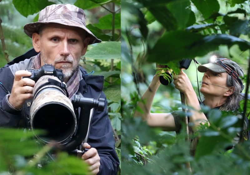 Thierry et Marianne Quélennec : oiseaux endémiques et cris inconnus sur les îles Mussau (Papouasie-Nouvelle-Guinée)