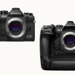 Comparaison des hybrides Olympus OM-D E-M1X et OM-D E-M1 Mark III pour photographier les oiseaux