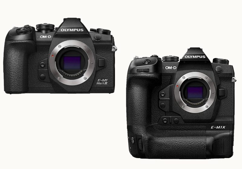 Comparaison des hybrides Olympus OM-D E-M1X et OM-D E-M1 Mark III pour photographier les oiseaux