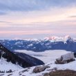 Observer les oiseaux dans le massif des Bauges (Savoie/Haute-Savoie)