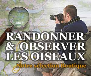 Randonner et observer les oiseaux : notre sélection boutique