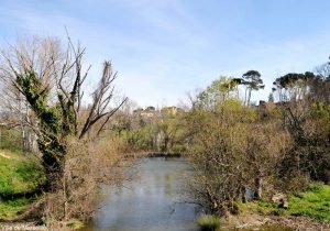 Bassin de rétention de la Grave (Bouches-du-Rhône)