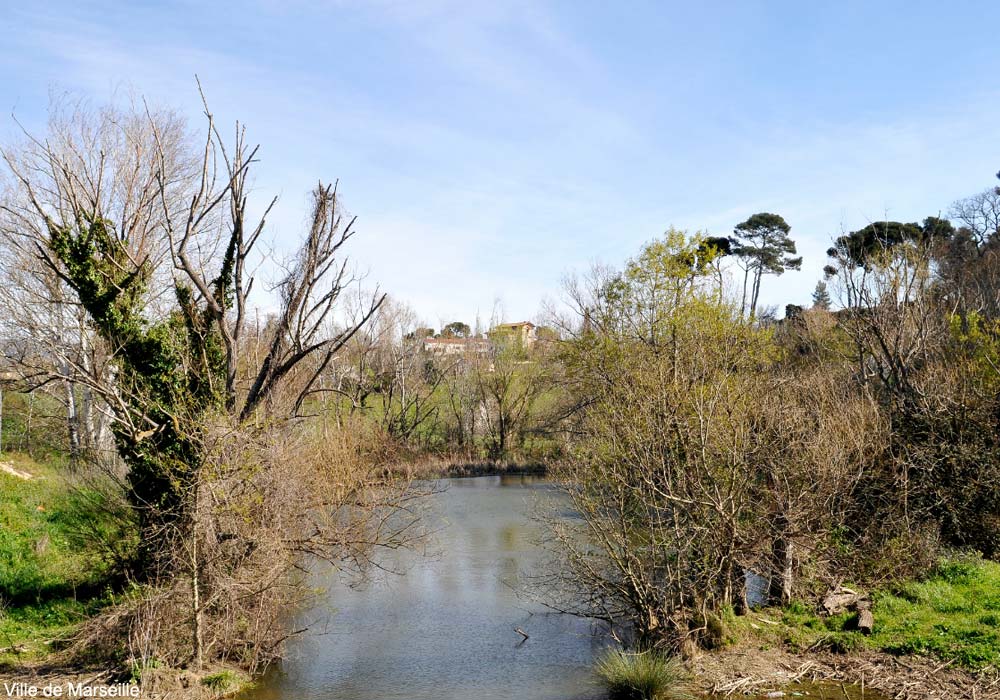 Bassin de rétention de la Grave (Bouches-du-Rhône)