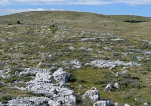 Vue du plateau de Calern (Alpes-Maritimes)