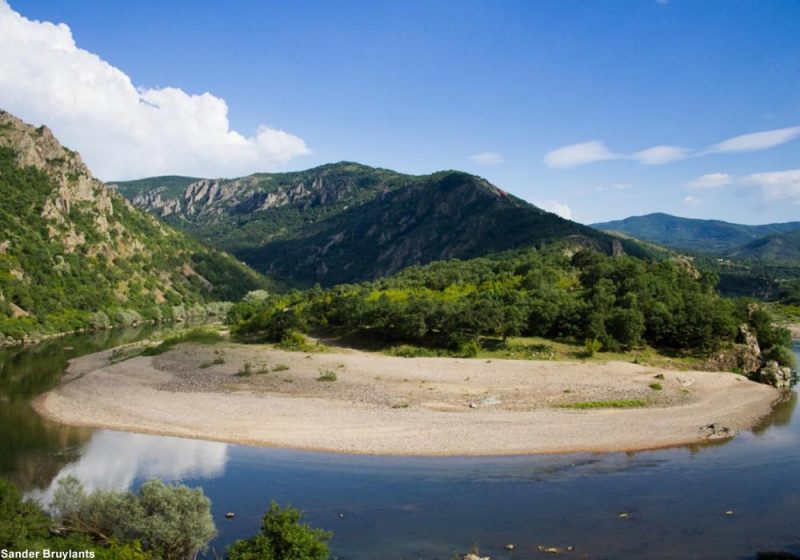 Séjour ornithologique à la fin du printemps dans les Rhodopes orientales et sur les côtes de la mer Noire (Bulgarie)