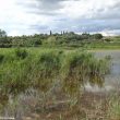 Les oiseaux, les projets et la gestion de la réserve de l’Estagnol (Hérault) : Cyril Marmoex nous en dit plus