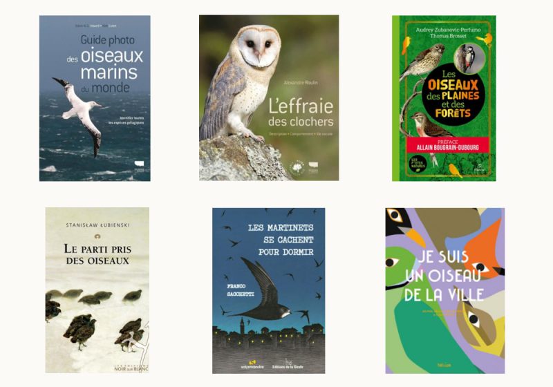 Une sélection de bons livres variés sur les oiseaux parus en 2021