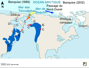 Aire de répartition du Guillemot à cou blanc