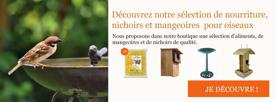 Sélection de nourriture, nichoirs et mangeoires pour oiseaux dans la boutique d'Ornithomedia.com