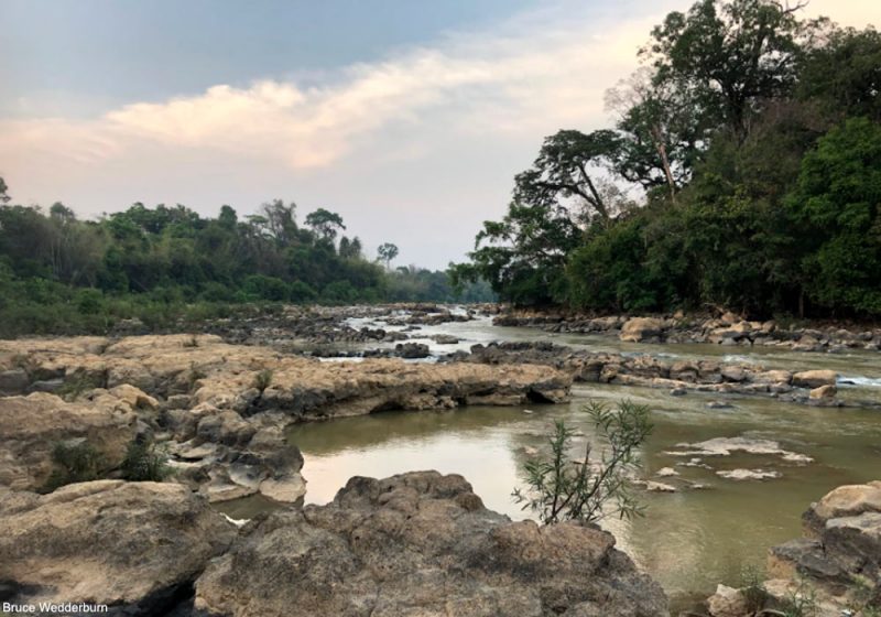 Séjour ornithologique dans les forêts du sud du Vietnam en mars 2020