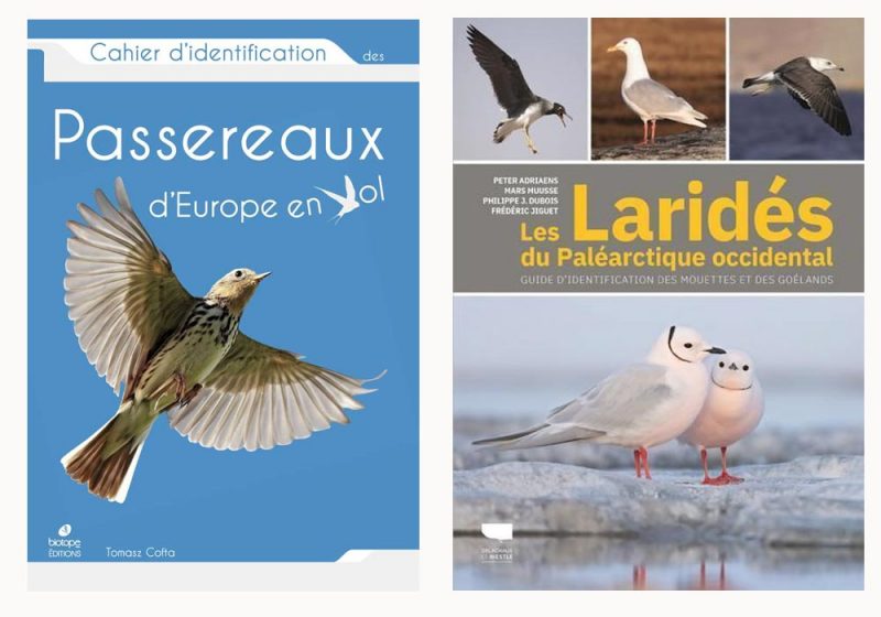 Deux ouvrages complets, pratiques et récents sur l’identification des passereaux en vol et et des Laridés