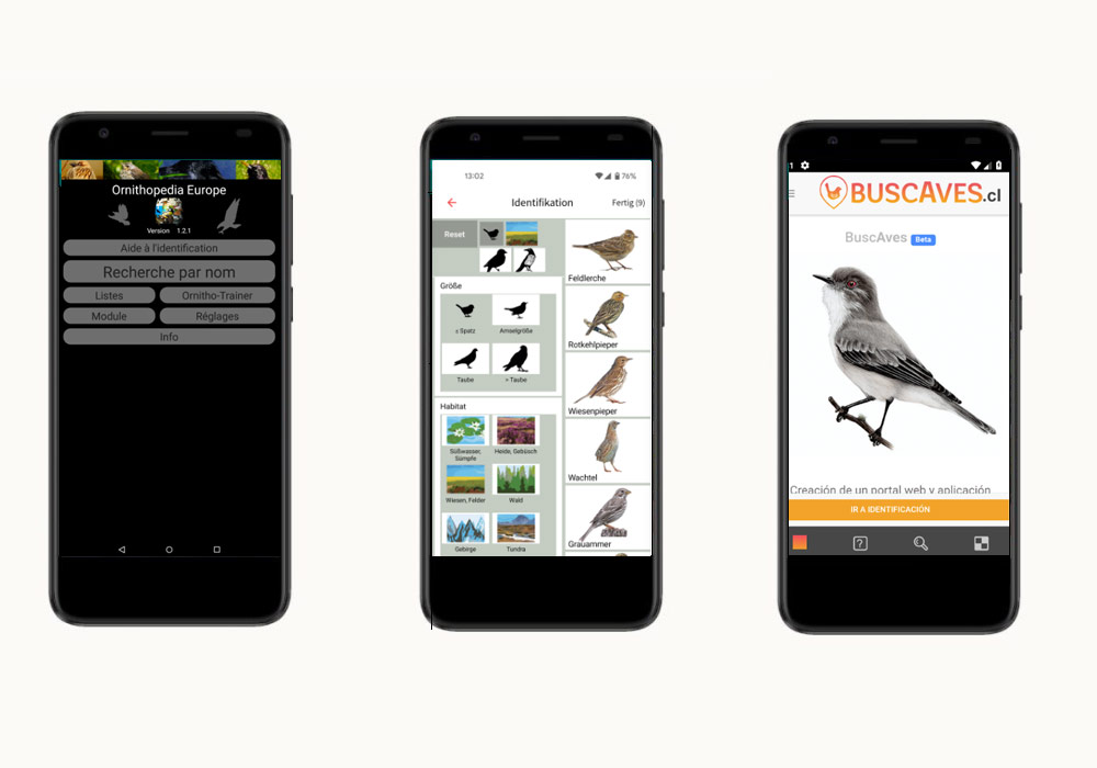 Applications pour smartphones Ornithopedia Europe, Oiseaux de Suisse Birdlife et BuscAves (oiseaux du Chili)