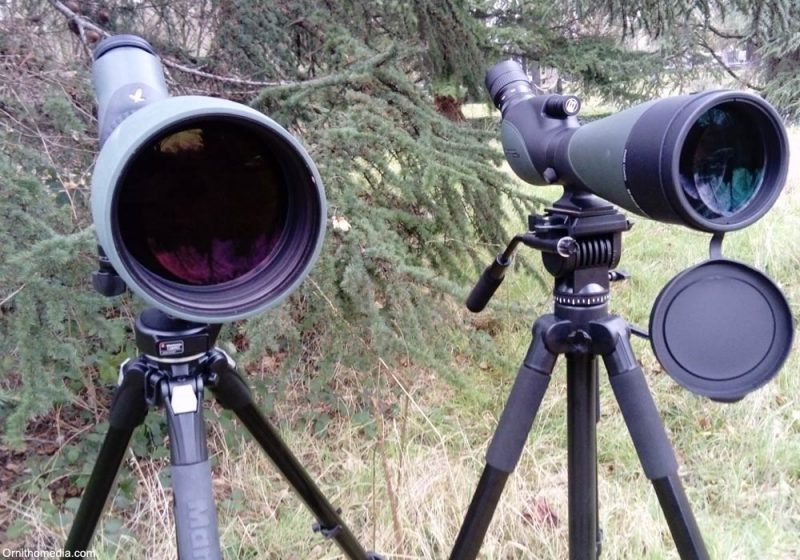 Les longues-vues avec un objectif de grand diamètre (au moins 100 mm) : collecter plus de lumière