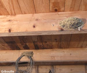 une-bo-te-de-conserve-fix-e-au-plafond-peut-servir-de-support-original