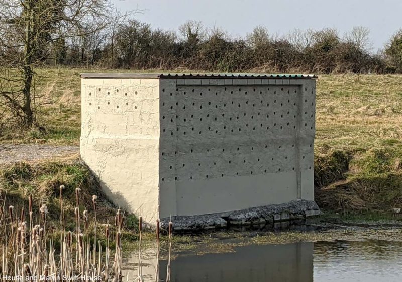 Deux constructions originales pour aider les martinets et les Hirondelles de rivage