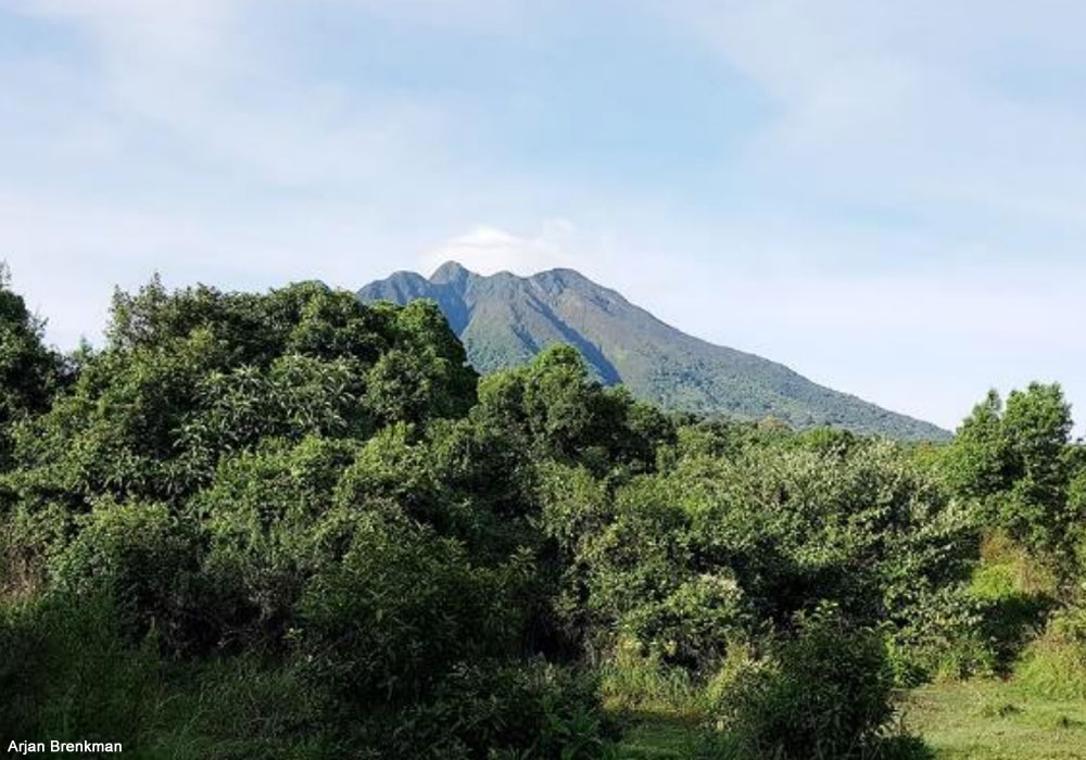 Vue du volcan Sabyinyo (Ouganda)