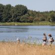 La Cité des Oiseaux, des étangs attractifs dans le bocage vendéen