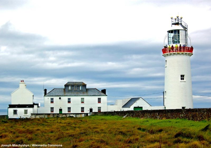 La péninsule de Loop Head (Irlande), un site renommé pour trouver des oiseaux rares en automne