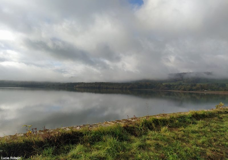 Le réservoir de Cercey, l’un des plans d’eau les plus intéressants de Côte-d’Or pour observer les oiseaux