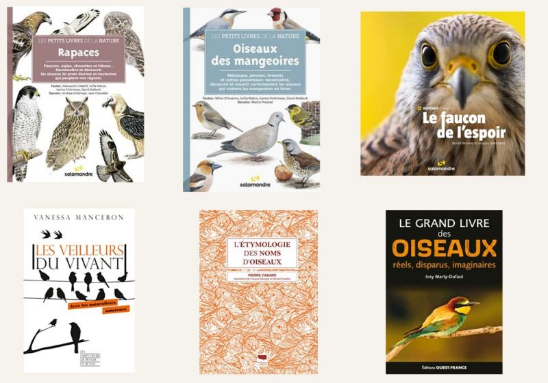 Une sélection de beaux livres francophones sur les oiseaux parus en 2022