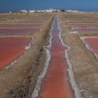 Les salines de la Trinitat, dans le delta de l’Èbre (Espagne) : du sel, des Flamants roses et des Goélands d’Audouin