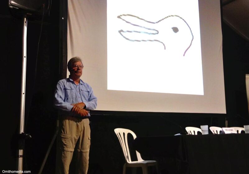 David Allen Sibley nous en dit plus sur le dessin et sur la peinture des oiseaux