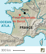 Situation de la forêt domaniale de Bercé (Sarthe)