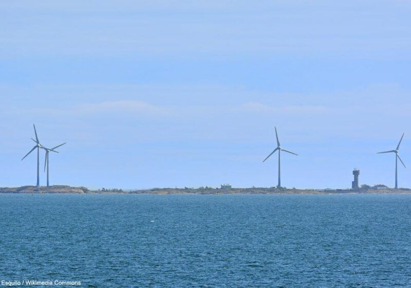 Les effets à long terme d’un parc éolien sur les oiseaux marins nicheurs d’un petit archipel finlandais