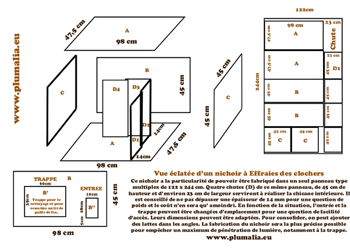 Un plan de nichoir à Effraie des clochers (Tyto alba)