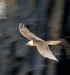 Exposition « Cheminement d’un photographe, de passeur d’images à déclencheur d’émotions »