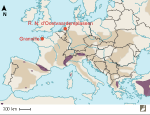 Aire de répartition (en violet) européenne du Gypaète barbu