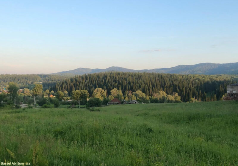 Séjour ornithologique estival dans les steppes et la taïga du Kazakhstan