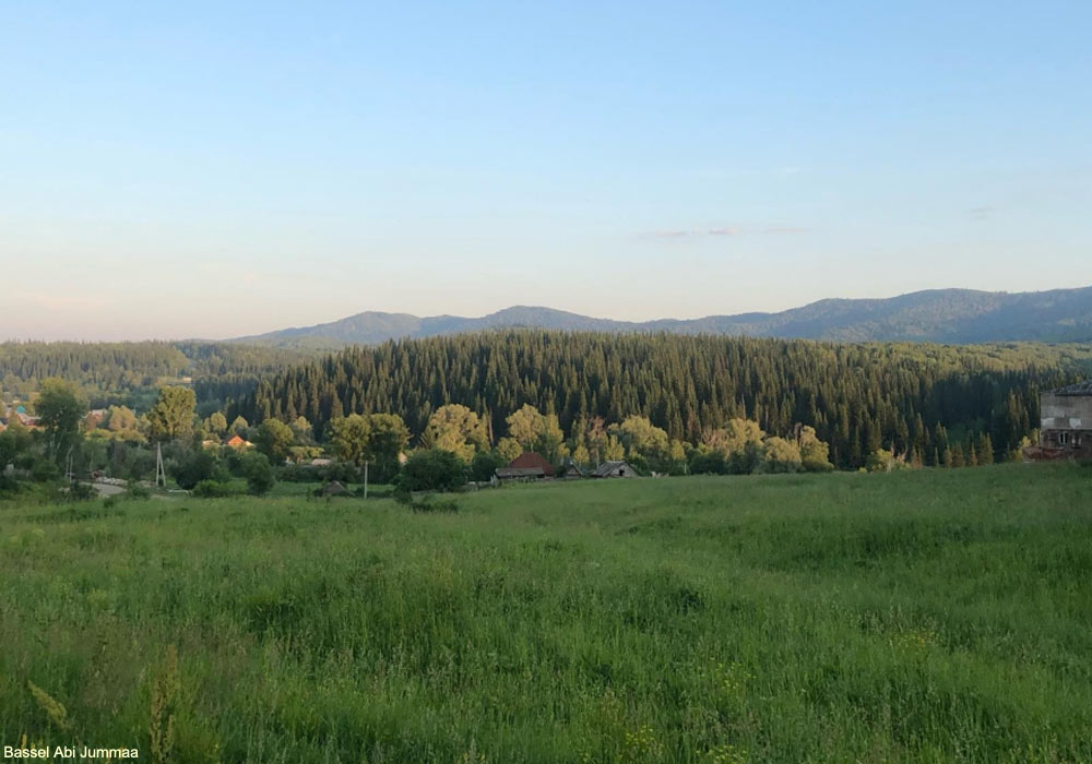 Vue de la taïga près de Ridder, dans le nord-est du Kazakhstan