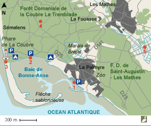 Carte de la baie de Bonne Anse (Charente-Maritime)