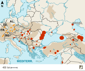 Colonies et données de Cormorans pygmées