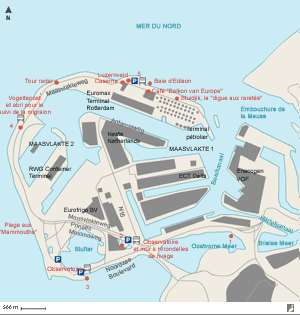 Carte du Maasvlakte 2 (Pays-Bas) et bons sites d'observation
