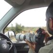 Test du Canon EOS R6 Mark II pour photographier les oiseaux lors d’un safari en Afrique du Sud