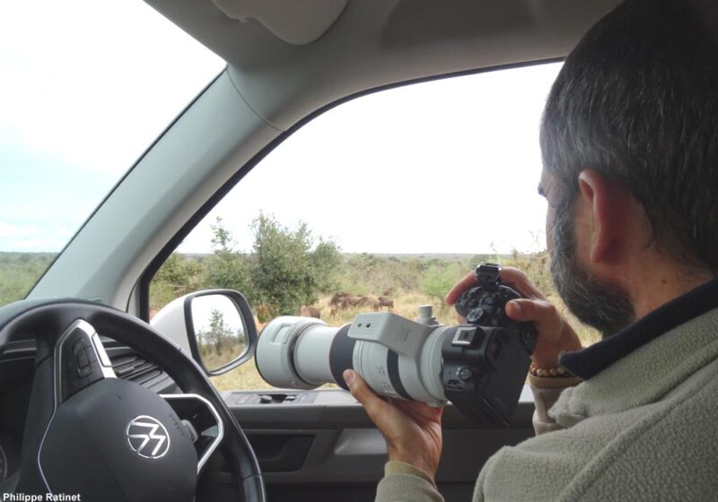 Test du Canon EOS R6 Mark II pour photographier les oiseaux lors d’un safari en Afrique du Sud