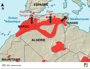 Aire de nidification du Bruant du Sahara dans le Maghreb