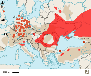 Aire de nidification européenne du Faucon kobez (Falco vespertinus) et données en Allemagne en septembre 2023