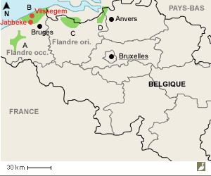 Les quatre secteurs en Belgique importants pour l'hivernage des oies