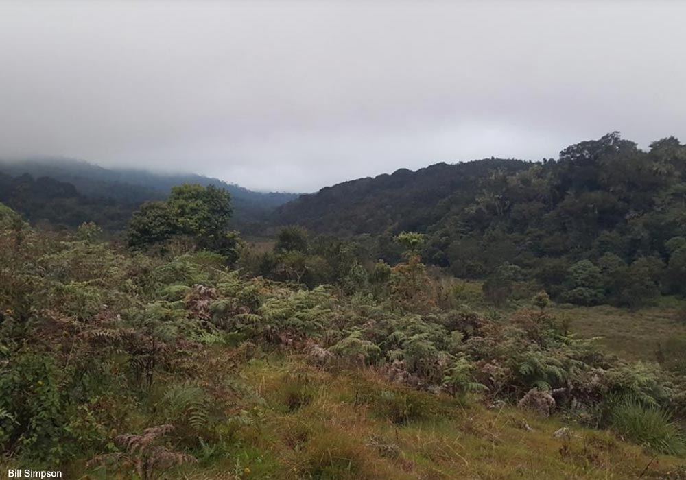 Vue des monts Udzungwa (Tanzanie)
