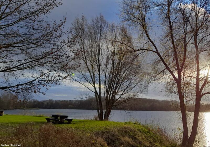 Le lac du Héron, un plan d’eau de l’agglomération lilloise (Nord) attractif pour les oiseaux