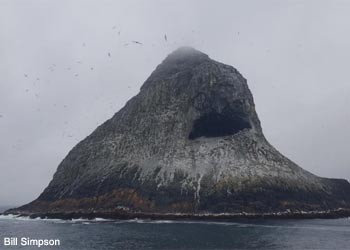 Pyramid Rock, dans l'archipel des Chatham (Nouvelle-Zélande)