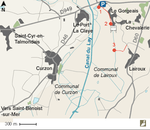 Carte des communaux de Lairoux et de Curzon (Vendée) 