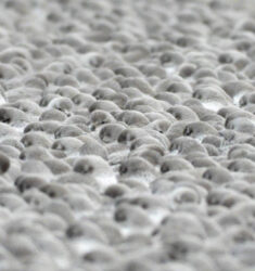 Journée Mondiale des Zones Humides 2024