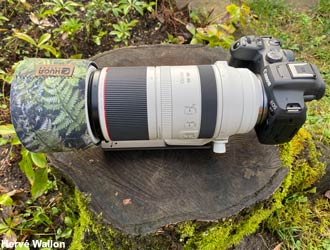 Hybride Canon EOS R7 + super téléobjectif Canon RF 100-500 mm