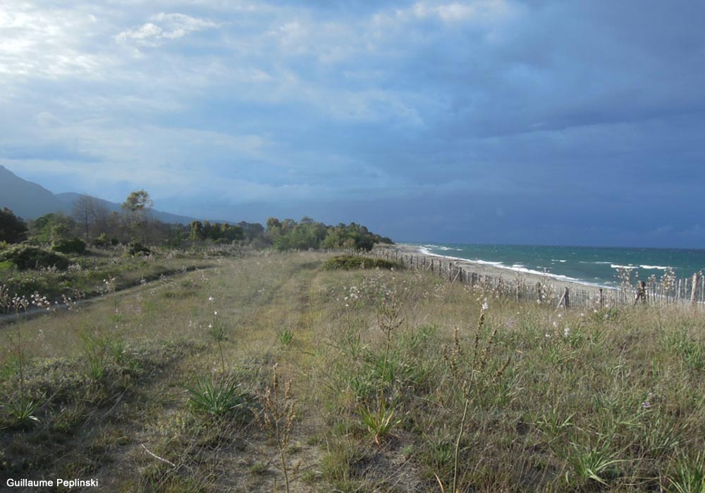Vue des dunes de Prunete
