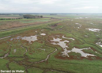 Vue aérienne de la digue bordant les prés salés de la réserve naturelle Verdronken Land van Saeftinghe (Pays-Bas) Vue aérienne de la digue bordant les prés salés de la réserve naturelle Verdronken Land van Saeftinghe (Pays-Bas)