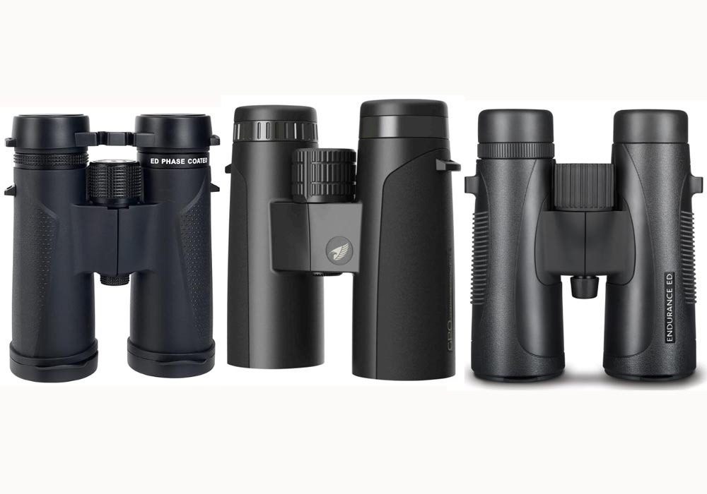 Jumelles Svbony SV202 8x42 ED, les GPO Passion 8x42 ED et les Hawke Endurance 8x42 ED